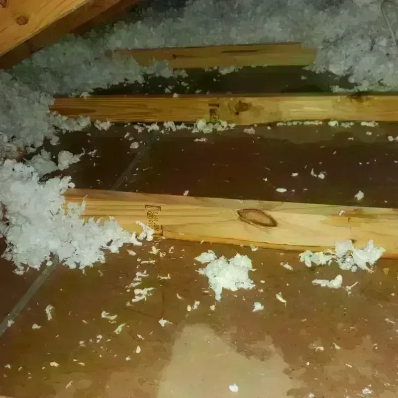 Attic Water Damage in Laporte, CO