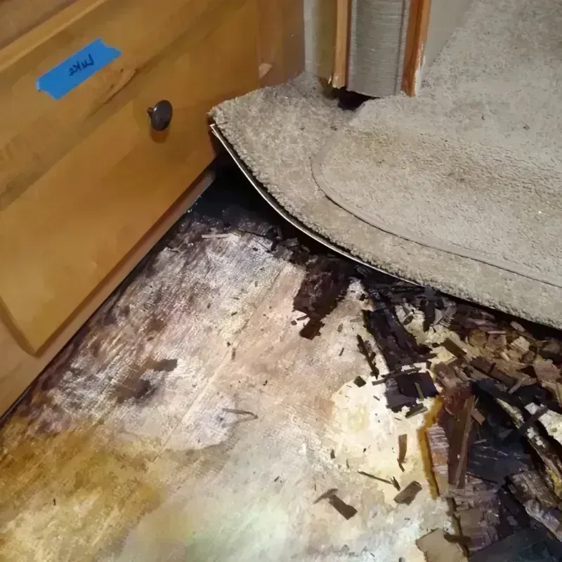 Best Wood Floor Water Damage Service in Laporte, CO